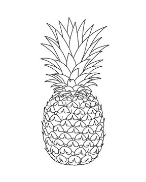 Naklejki pineapple sketch 