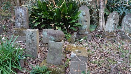 日本の寺院庭園