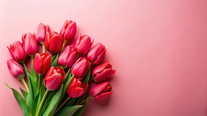 A vibrant bouquet of crimson tulips arranged on a soft pink background