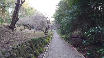 日本の公園