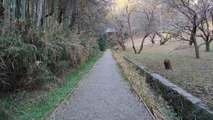 日本の公園