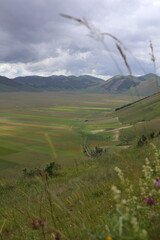 Castelluccio