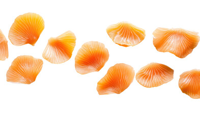 A minimalist arrangement of thin salmon slices, neatly placed on a pure white background, showcasing the texture and clarity of the fish