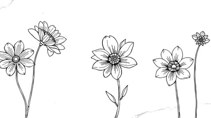 Botanical Beauty in Monochrome: Minimalist Flower Art on Marble