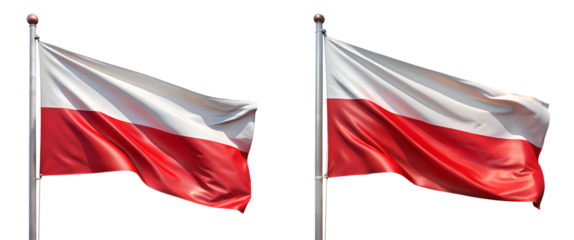 flag of poland isolated on white