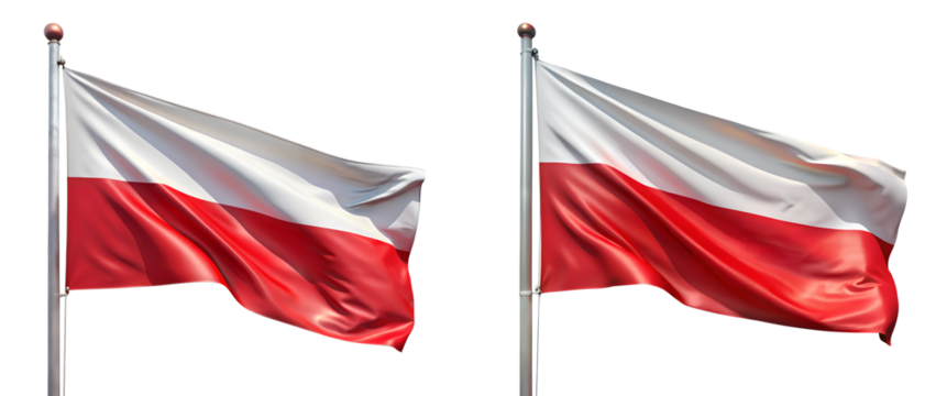 flag of poland isolated on white