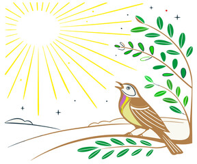 The morning begins with a bird singing