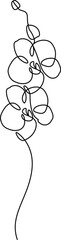 One continuous single-line drawing of orchid flowers. Blooming flower branch minimal linear artwork. The decorative plant clipart. Editable outline. 