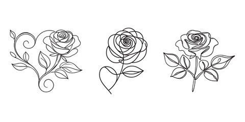Elegant line art rose illustration set and white background