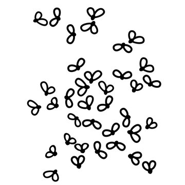 Vector de insectos volando 