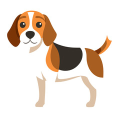 beagle dog isolated on white, Color vector illustration. Pet animal  