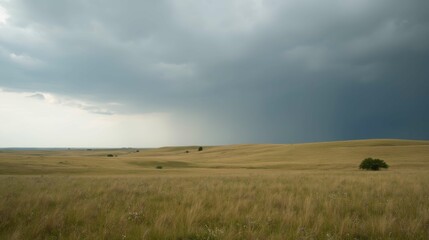 Obraz premium Dramatic Sky Over Golden Grassland Landscape Before Approaching Storm