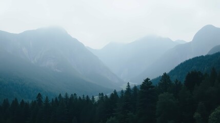 Obraz premium Misty Mountain Landscape with Dense Forest and Dramatic Sky