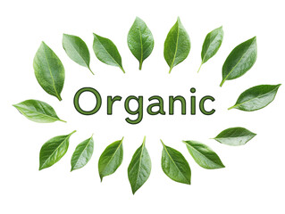 Green writing ‘Organic’ surrounded by leaves. Transparent background.