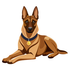 belgian malinois dog isolated on white, Color vector illustration. Pet animal  