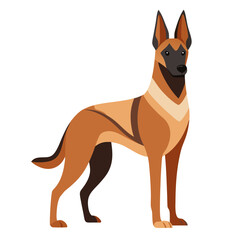 belgian malinois dog isolated on white, Color vector illustration. Pet animal  