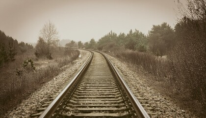 Fototapeta premium 흐린 날씨의 오래된 철길