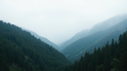 Obraz premium Serene Mountain Valley Under Soft Fog in Lush Green Landscape