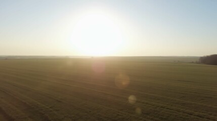 Vast Open Field Under Bright Sunlight with Clear Blue Sky