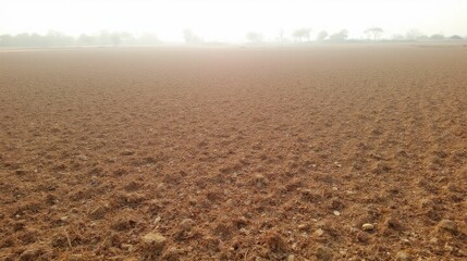 Vast Empty Agricultural Field Under Soft Morning Light in Fog