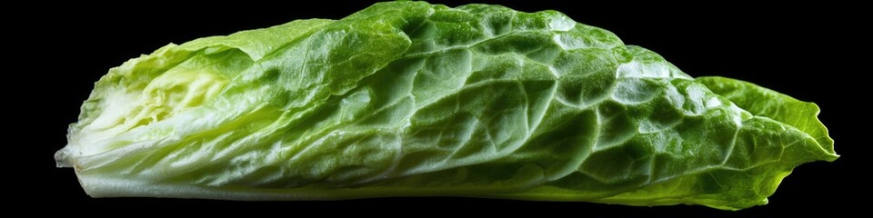A close-up view of a crisp lettuce leaf on a dark background