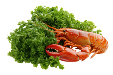 Red lobster with a hard, segmented exoskeleton and large, powerful claws raised slightly. PNG transparent.