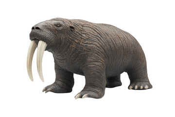 Fototapeta premium Walrus with thick, wrinkled skin, a massive body, and long ivory tusks curving downward. PNG transparent.