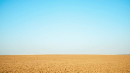 Fototapeta premium Vast Open Field Under Bright Clear Sky with Soft Blue Hue