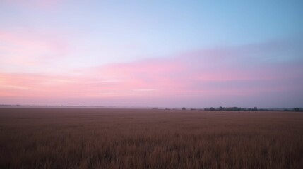Obraz premium Serene Sunrise Over Golden Fields Under Pink Sky at Dawn
