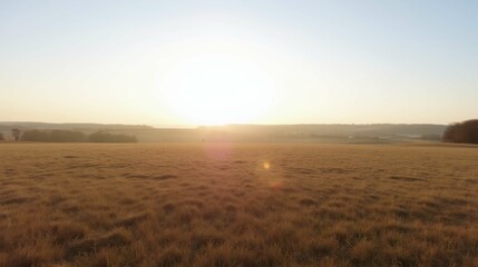 Serene Sunrise over Golden Field with Gentle Mist and Horizon Glow