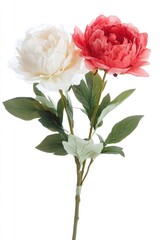 Two colorful flowers placed in a decorative vase