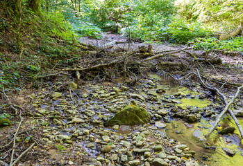 It's a sunny day. shallow river in the summer, walking along the shallow riverbed