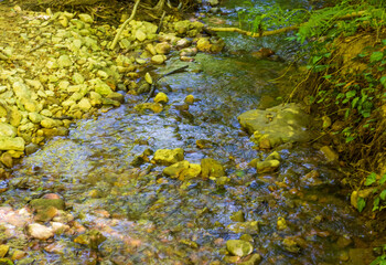 It's a sunny day. shallow river in the summer, walking along the shallow riverbed