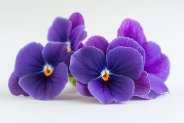 Obraz premium A bouquet of purple flowers sitting on a clean white surface