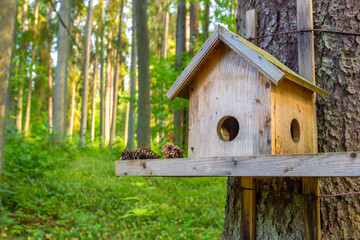 Nature on the territory of the Mikhailovskoye museum-estate in the Pushkin Mountains, Pskov region,...