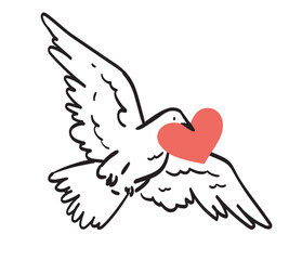 Obraz premium White dove with love letter flying. Vector illustration for the Valentine's Day in retro doodle style. Flying pigeon with heart shape message for beloved one. Drawing for banner, greeting or postcard.