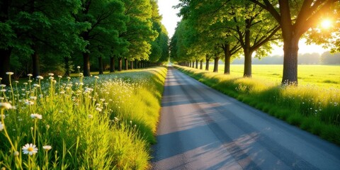Serene Country Road at Golden Hour, Lined with Lush Trees and Wildflowers, Casting Long Shadows