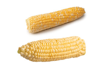 Yellow sweet corn isolated on white background. Copyspace.