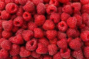 Tasty fresh raspberry as a background.