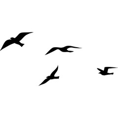 A flock of birds silhouette 