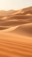 Closeup photo of desert digital wallpaper, smooth light. with white shades