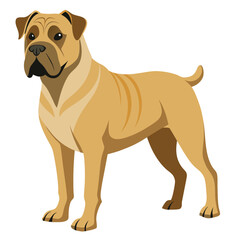 Fototapeta premium bullmastiff dog isolated on white, Color vector illustration. Pet animal 