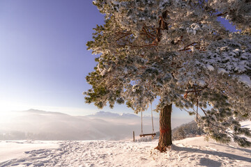 Pieniny , góry, zima, śnieg, Karpaty, mgły, Tatry, Dunajec