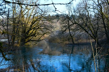 Lake at Kotliči with tree branches above in Rakov Škocjan nature park in Notranjska, Slovenia