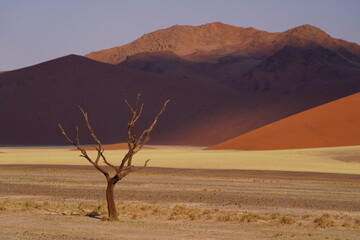 namibia desert bright colours 