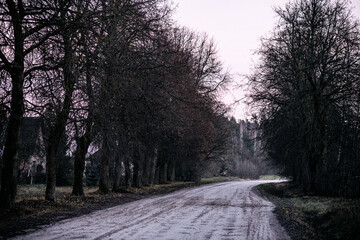 Obraz premium dark moody country road with tree rows on road side. Winding road in late autumn. Gloomy evening light