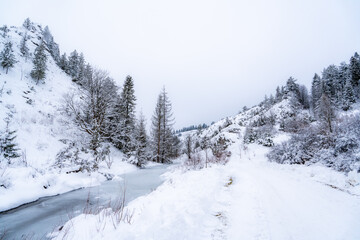 Pieniny , góry, zima, śnieg, Karpaty, mgły, Tatry, Dunajec