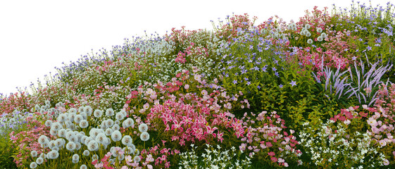 3D render of many kinds of flower fields on a hill with transparent background. © jomphon