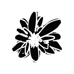 Hand drawn black ink abstract daisy flower silhouette isolated on white background. Monochrome scribble style bloom. Sketchy minimalist floral design.