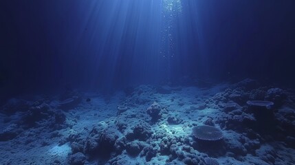 Exploring the mysteries of underwater worlds  a diver s journey through aquatic realms